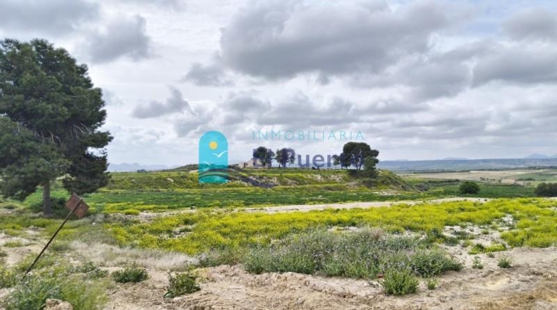 Murcia - Totana - 16562m2