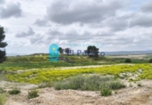 Casa de camp amb terreny en venda a la España, Totana, ref.: TR396659 foto