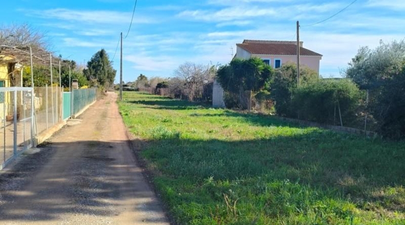 Кастельон - Castellón de la Plana - 2616m2