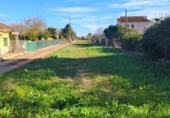 Non-developable land for sale on España, Castelló de la Plana, ref: TR396561 photo