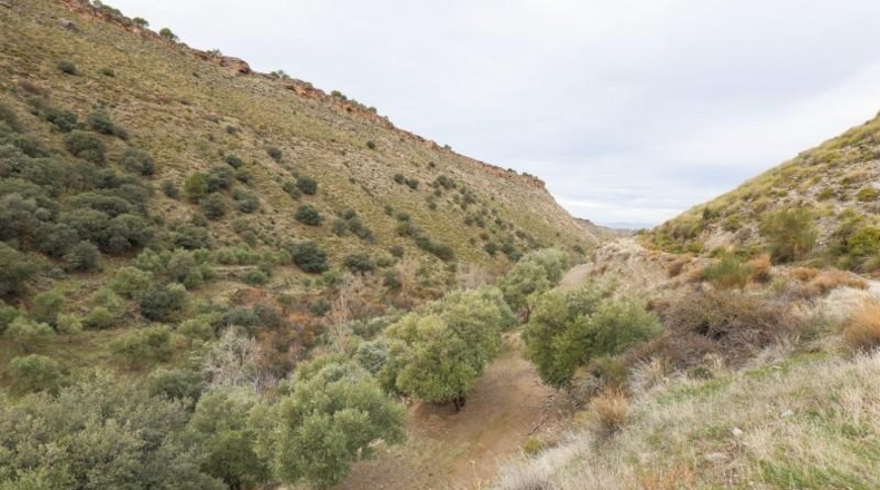 Granada - Monachil - 5462m2