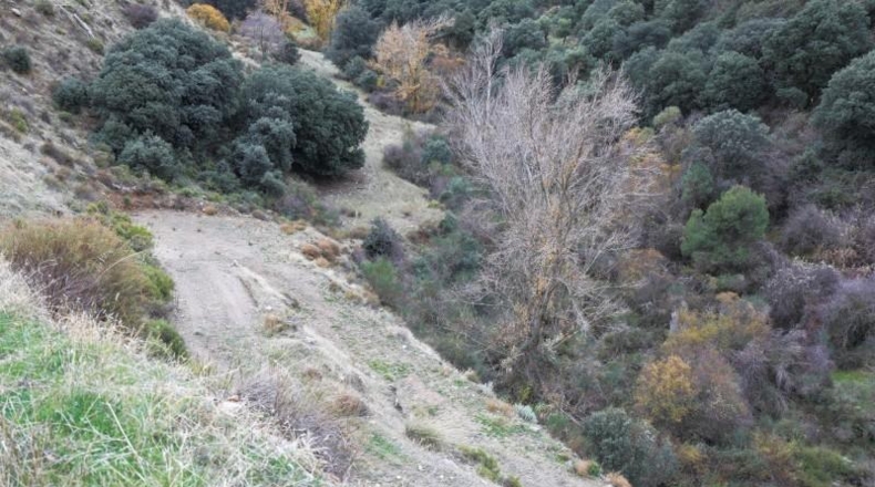 Granada - Monachil - 5462m2