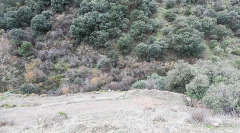 Granada - Monachil - 5462m2