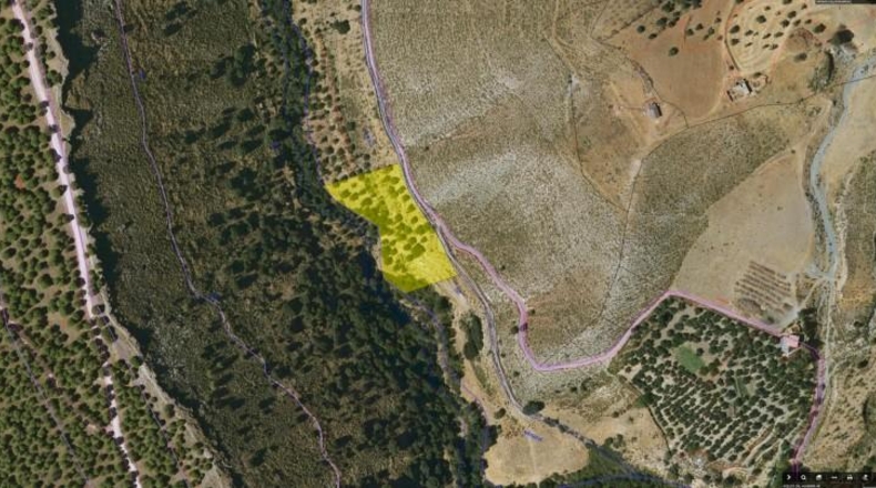 Granada - Monachil - 5462m2