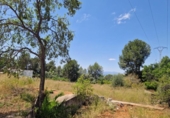 Urban land for sale on España, Alzira, ref: TR396557 photo