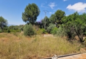 Urban land for sale on España, Alzira, ref: TR396557 photo