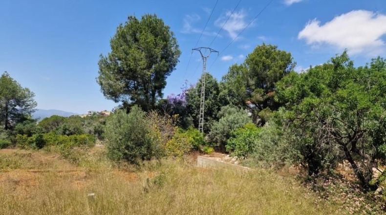 València - Alcira - 1005m2