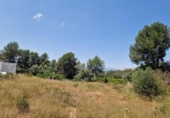 Urban land for sale on España, Alzira, ref: TR396557 photo