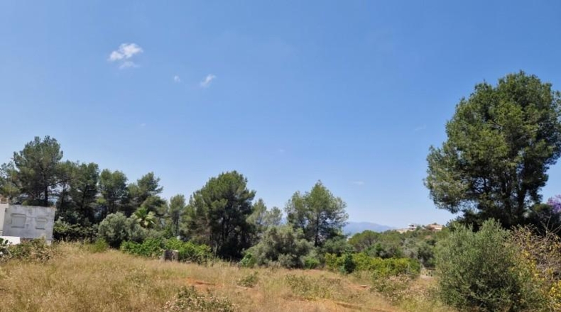 València - Alcira - 1005m2