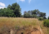 Urban land for sale on España, Alzira, ref: TR396557 photo