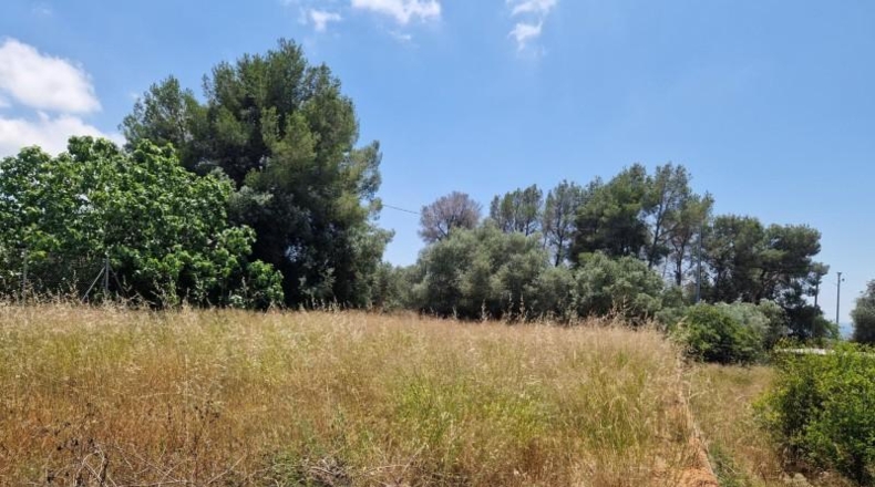 València - Alcira - 1005m2