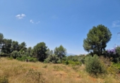 Urban land for sale on España, Alzira, ref: TR396557 photo