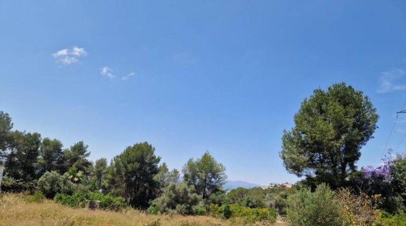 València - Alcira - 1005m2