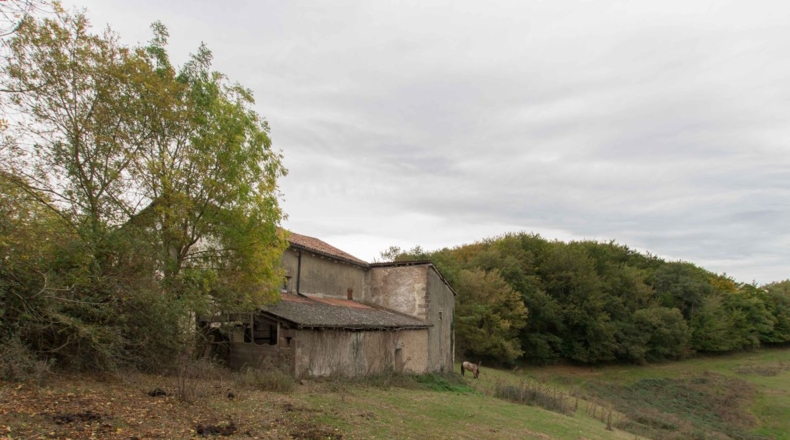 Navarre - Egintto - 266m2