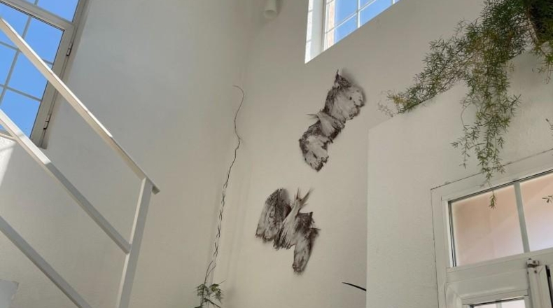 Community of Madrid - Colmenar de Oreja - 734m2