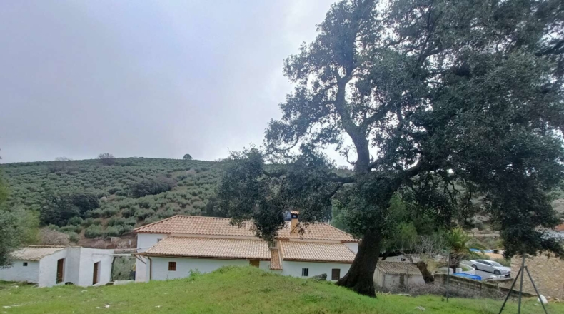 Granada - Montefrío - 4190m2