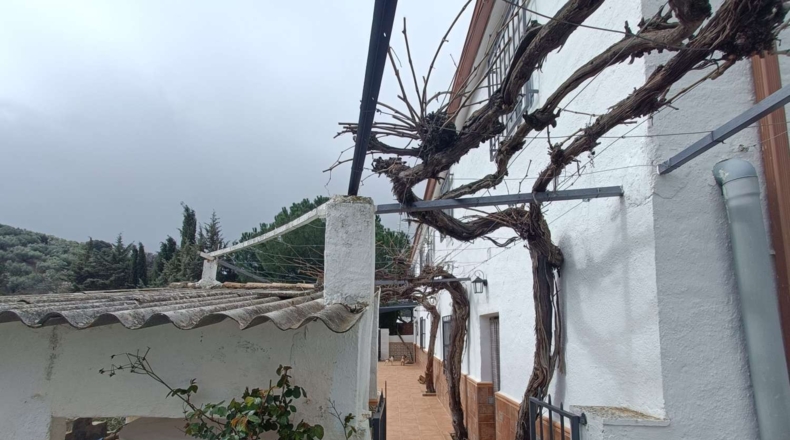 Granada - Montefrío - 4190m2