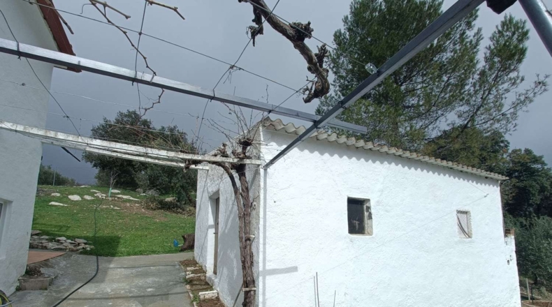 Granada - Montefrío - 4190m2