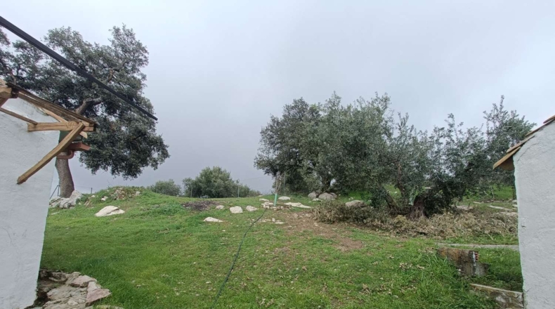 Granada - Montefrío - 4190m2