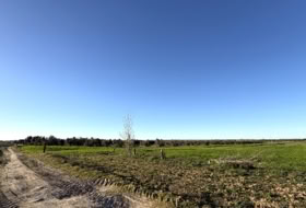 Yuncos 65300&nbsp;m² 