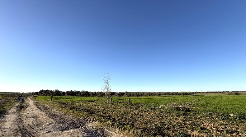 Toledo - Yuncos - 65300m2