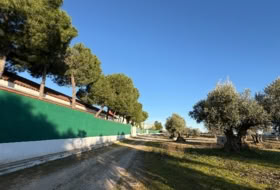 Yuncos 65300&nbsp;m² 