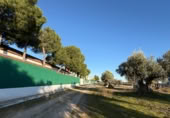 Chalet independiente con terreno en venta en Yuncos ref: TR396794 foto