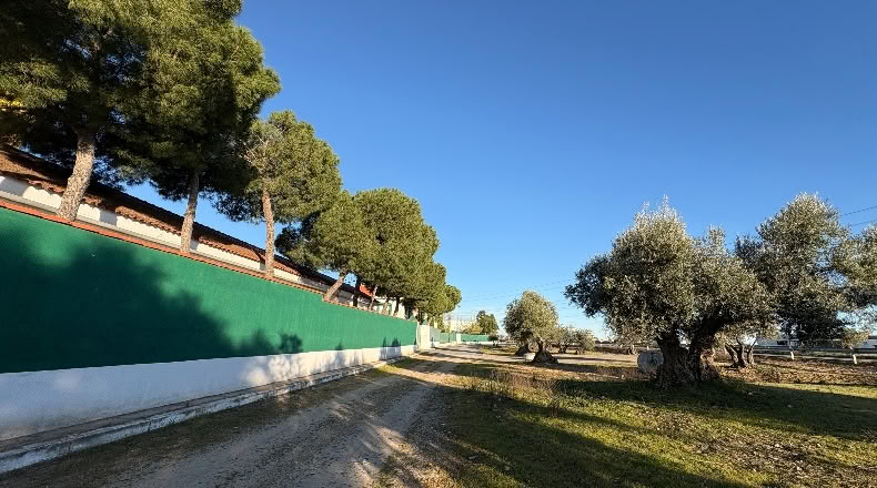 Toledo - Yuncos - 65300m2