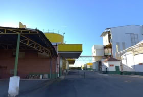 Yuncos 65300&nbsp;m² 