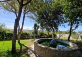 Rural estate for sale in Chiclana de la Frontera ref: TR396793 photo