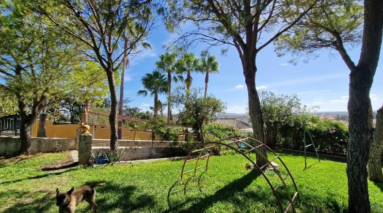 Cádiz - Chiclana de la Frontera - 8000m2