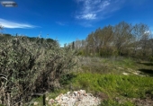 Terreny no urbanitzable en venda a la España, Méntrida, ref.: TR403360 foto