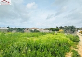 Terreny no urbanitzable en venda a la España, Conil de la Frontera, ref.: TR403390 foto