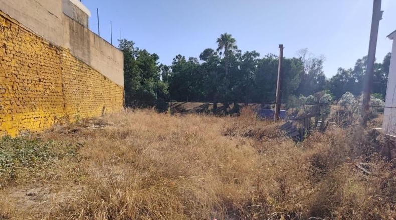 Huelva - Gibraleón - 1000m2