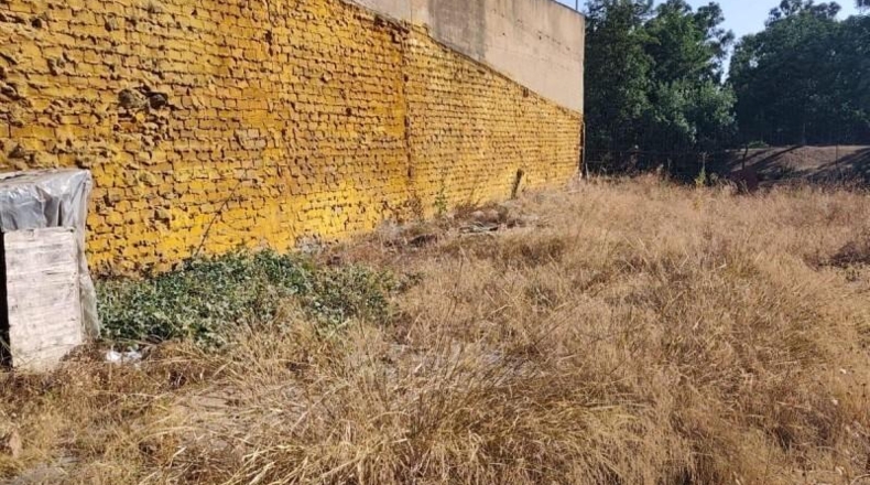 Huelva - Gibraleón - 1000m2