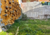 Suelo urbano en venta en la España, Ávila, ref: TR403405 foto