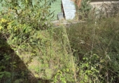 Sòl urbà en venda a la España, San Martín, ref.: TR396900 foto