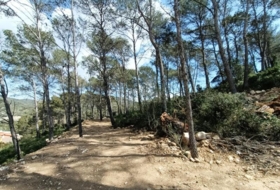 Canyelles 600&nbsp;m² 