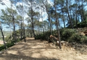 Suelo urbano en venta en la España, Canyelles, ref: TR396811 foto