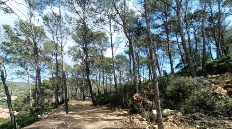 Barcelona - Canyelles - 600m2