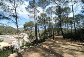 Canyelles 600&nbsp;m² 