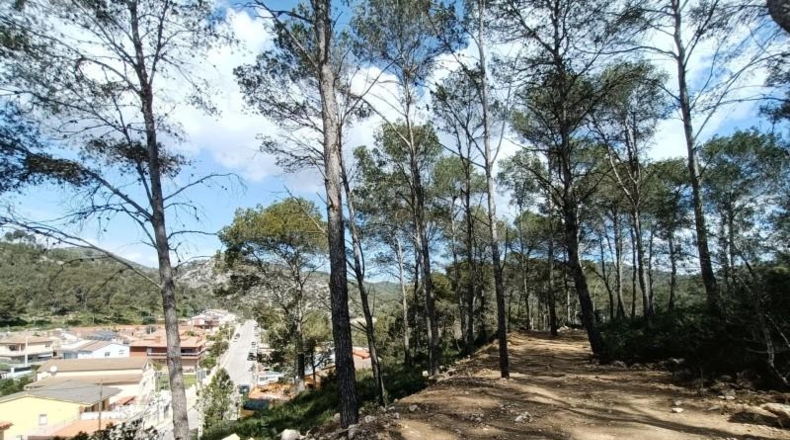 Barcelona - Canyelles - 600m2