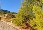 Suelo urbano en venta en la España, Nerpio, ref: TR396899 foto