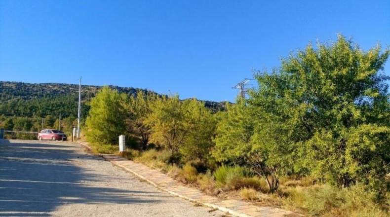 Albacete - Nerpio - 500m2