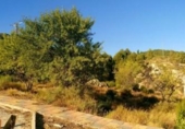 Suelo urbano en venta en la España, Nerpio, ref: TR396899 foto