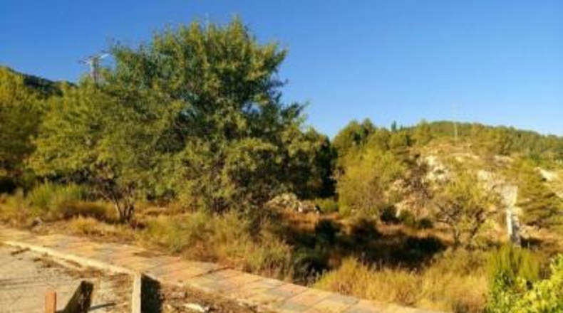 Albacete - Nerpio - 500m2