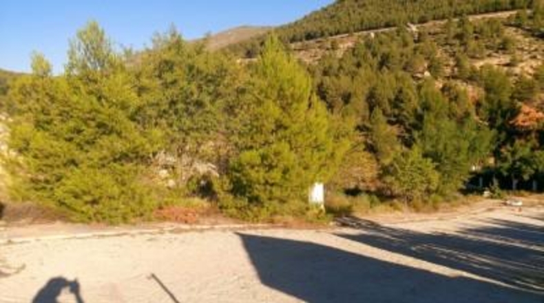Albacete - Nerpio - 500m2