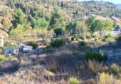 Suelo urbano en venta en la España, Nerpio, ref: TR396899 foto