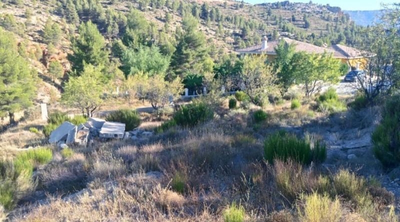 Albacete - Nerpio - 500m2