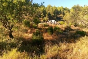 Foto 9